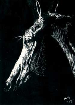 Day Dreamer Mary B Steinhardt Waterford WI scratchboard   SOLD